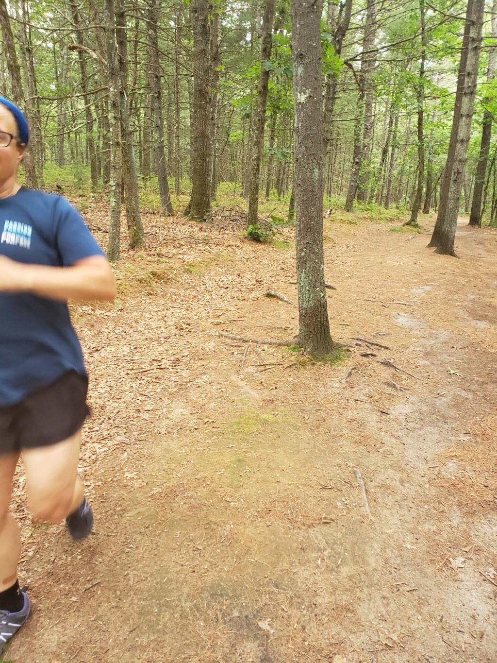 Why I Run: How I Found Joy in&nbsp;Movement