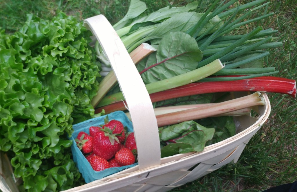 The Food Supply is Changing and What to&nbsp;Do