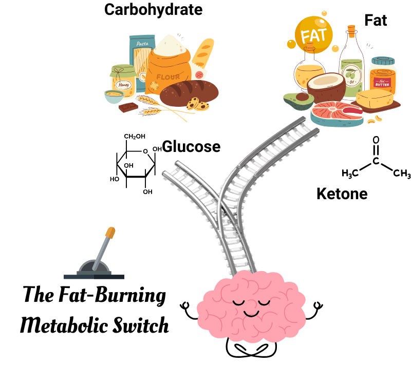 Unlock Your Body’s Natural Fat-Burning&nbsp;Power