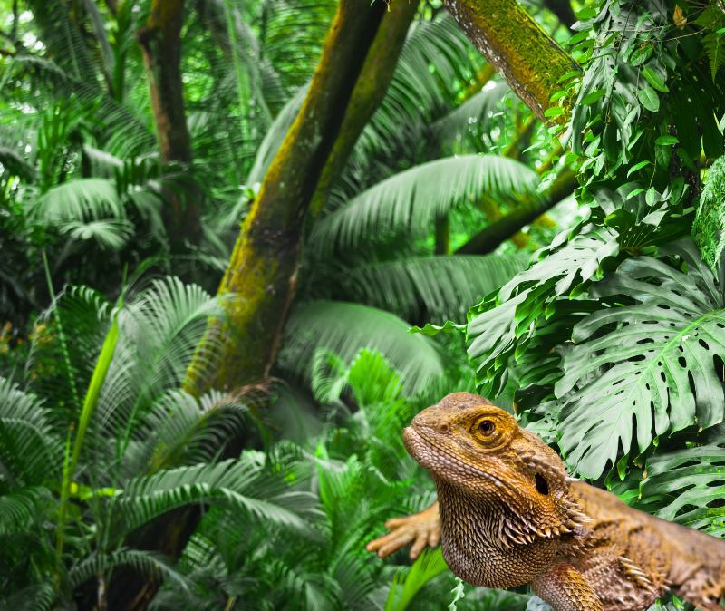 How to tell your ancient primal body to release&nbsp;weight